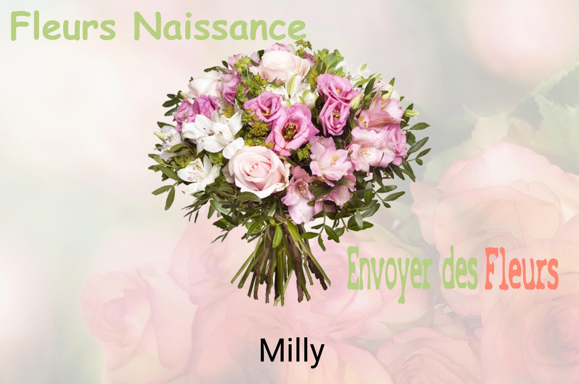 Bouquet de fleurs de naissance livré à Milly